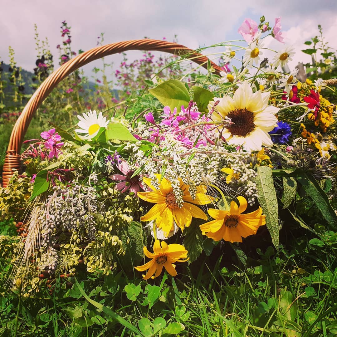 blumen